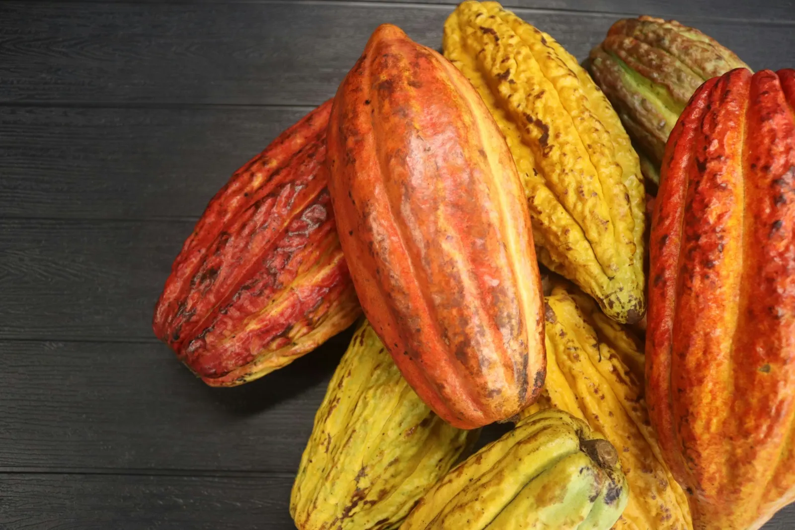 Cocoa beans at origin